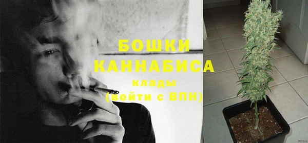 MESCALINE Бородино